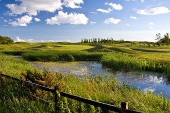 Day of Golf With Choice of Refreshments For Two, £27 at Herons’ Reach Golf Course & PGA Golf Academy (Up to 79% Off)